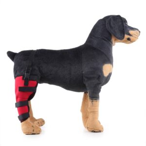 HJ19 Pet Surgery Rehabilitation Leg and Foot Protection Walking Aids RED