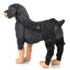 Pet leg and knee protectors for surgical injuries in dogs