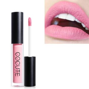 Matte Waterproof Makeup Lip Gloss Liquid Lipstick Long Lasting Lip Gloss (5)