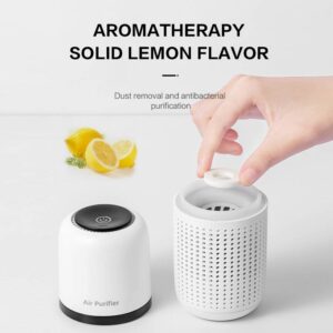 Mini Car Air Purifier Desktop Negative Ion Filter