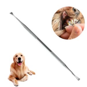 Dog teeth stone removal pointed scraper pet teeth cleaning tool