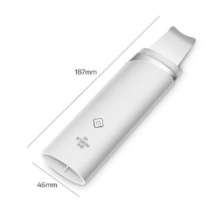 Golden Rice KD8070 Electric Ultrasonic Facial Scrubber Cleaner Massage Brightening Skin Care Scraper // Golden Rice KD-8023 Ultrasonic Blackhead Acne